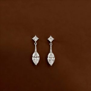 S925&Moissanite Princess Earrings with Horse Eye